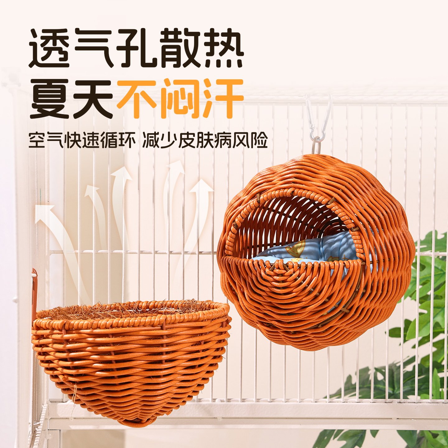 图5