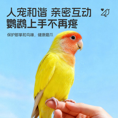 悦小萌鹦鹉磨砂站杆站架磨牙磨爪棒虎皮牡丹笼内装饰鸟用解闷玩具 - 图1