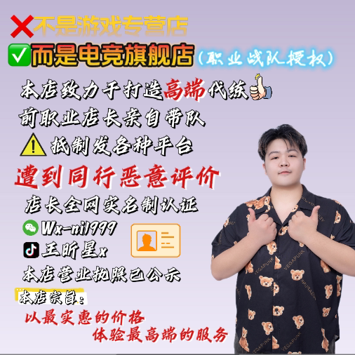 LOL英雄联盟端手游代练刷排位段位定级位赛代币带打陪玩练上分级