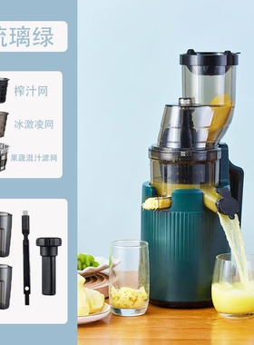 德国家用榨汁机汁渣分离打扎压水
