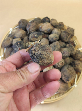 正月桃枭沂蒙山区野生不落地