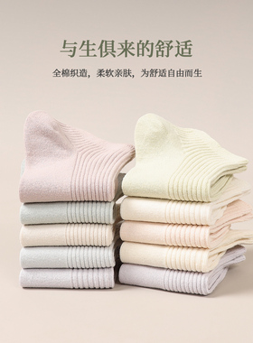 10双袜子女夏季薄款短袜纯棉防臭韩版全棉夏天白色防滑不掉跟船袜