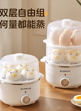 志高电蒸锅炖蒸煮一体小型电蒸箱