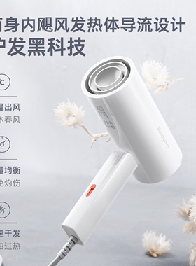 reepro瑞普乐电吹风机家用大风力