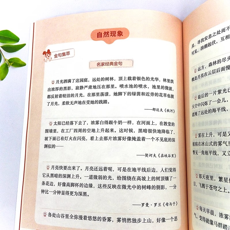 学霸都在用的作文分类金句全套5册 小学生三四五六年级作文写作素材好词好句好段初高中满分作文素材语文经典句子写作金句摘抄大全