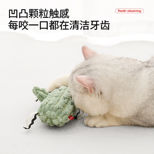 Catnip toys that are self-satisfied and resistant to scratching and biting