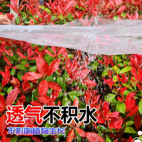 加密防蚊网防晒网窗帘防虫网种菜专用防柳絮果树网加厚罩院子纱网 - 图1
