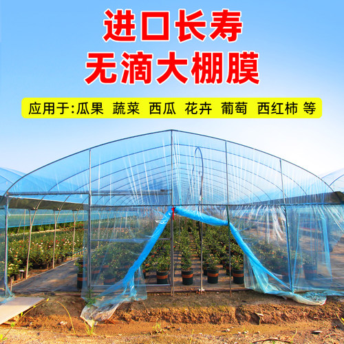 大棚塑料薄膜无滴膜内棚膜加厚抗老化透明长寿农用蔬菜专用布整卷-图0