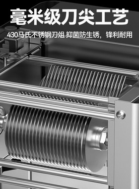 德国进口切肉机商用切肉片机全自动小型电动切丁切块切丝打鲜肉新