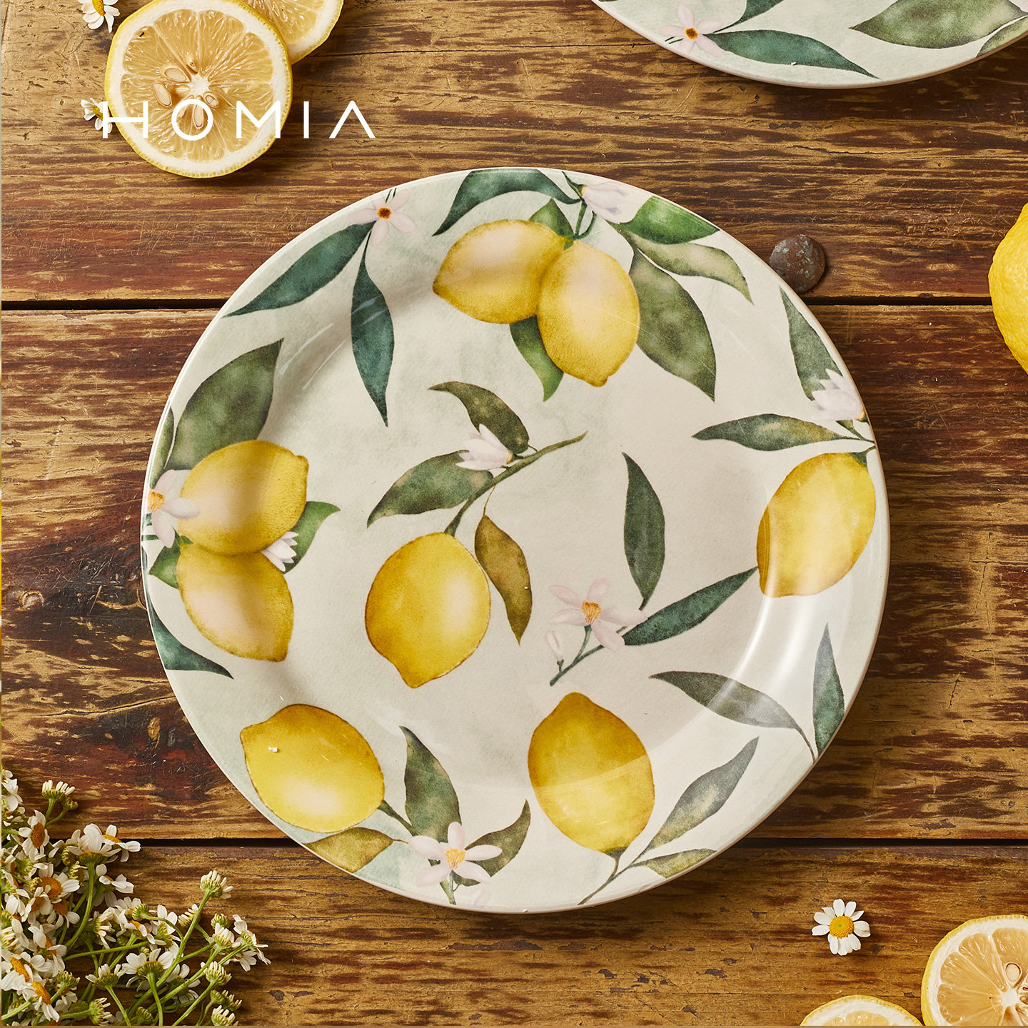 HOMIA柠檬系列釉下彩陶瓷餐具套装家用吃饭碗面碗汤碗菜盘子碗碟 - 图2