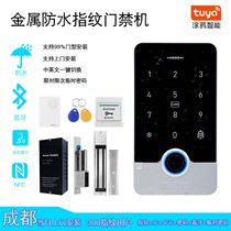 Outdoor waterproof fingerprint access control system all-in-one metal cell wood iron single glass double door swipe password suit