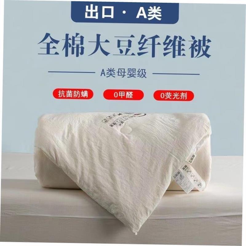 Sofe Comforter Duvet Blanket Air Condition Quilt Summer 夏被 - 图1