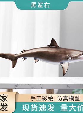 室内装饰黑鲨鱼立体面仿真鱼模型玻璃钢雕塑海洋工艺品墙壁挂饰