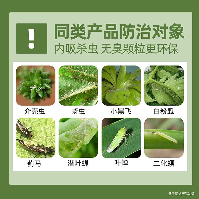 小白药吡虫啉杀虫剂花卉植物家用盆栽土壤防虫药多肉专用的小白药