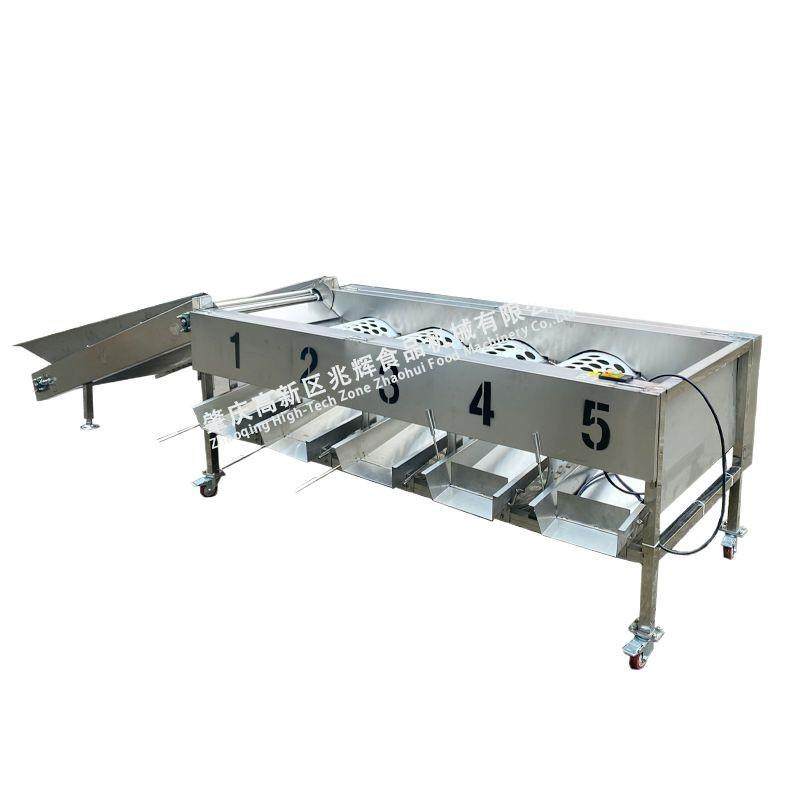 厂家直销水果筛选机滚筒蔬果大小分级机苹果橘子圆形水果分选机,淘宝优惠券,粉丝福利购,淘宝优惠卷