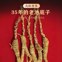 Lin Lower Ginseng ginseng Changbai Mountain 35 Old Mountain ginseng Paralympic Mountain Ginseng Pool Bottom Wild Northeast Bubble Wine Gift Box Dress