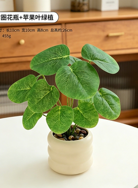 高级感艺术前台展示架意式