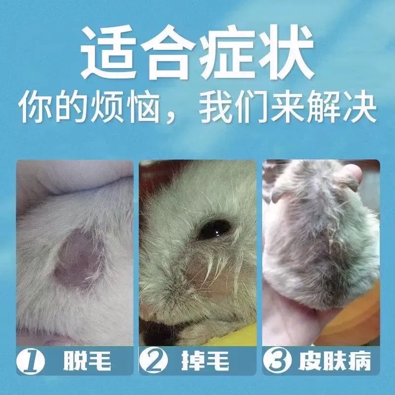 仓鼠皮肤病药神仙水仓鼠治疗真菌感染除臭驱虫喷雾剂仓鼠常用品药 - 图1