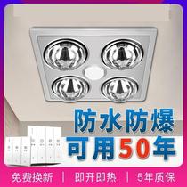 Toilet room warmer warm light ceiling light bath bulwara 300x300 toilet integrated four light bathing 30x30 common