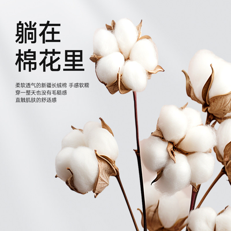 美国Lee李牌高支纯棉10A级抗菌男士内裤透气青少年平角四角裤男,淘宝优惠券,粉丝福利购,淘宝优惠卷