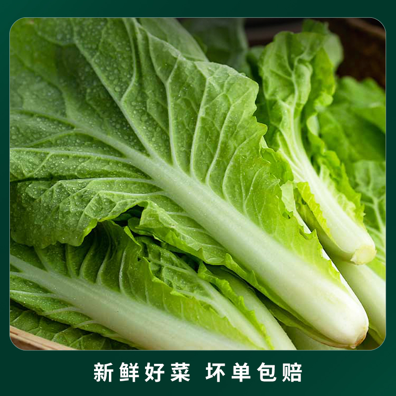 【百果园三个零】新鲜蔬菜当季整箱4斤新鲜蔬菜礼包宝宝辅食