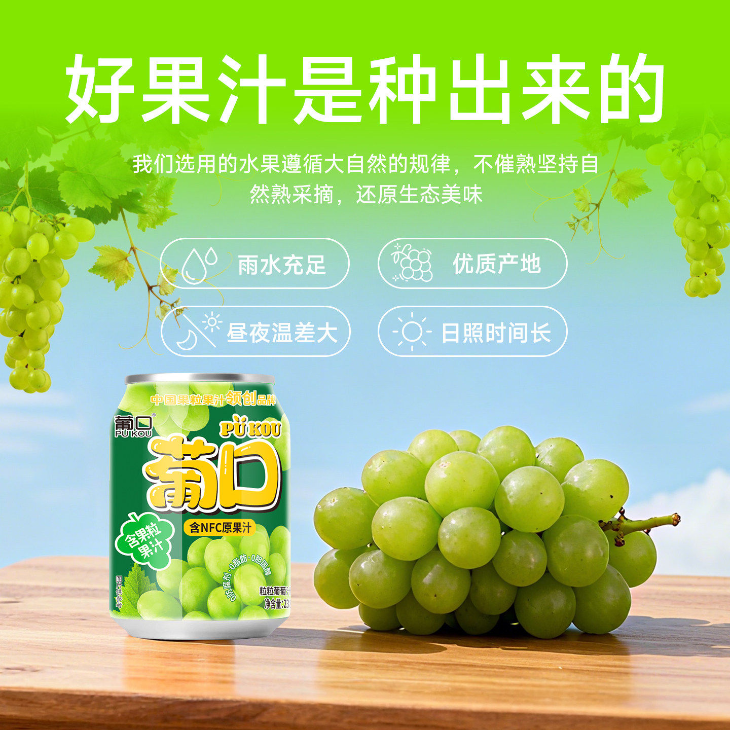 【黄晓明代言】葡口NFC果肉果汁饮料葡萄草莓粒238mlX10罐整箱