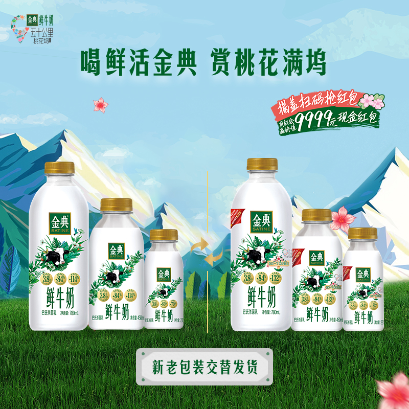 伊利金典鲜牛奶235ml*6瓶+冷藏纯牛奶小白瓶235ml*3瓶牛奶生牛乳