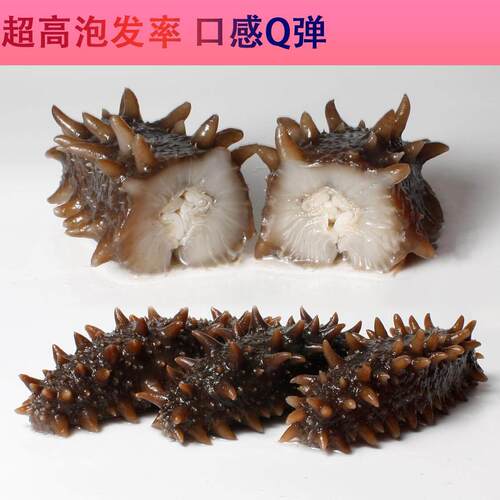 俄野刺生六排纯淡干关海参原干货东日本北海道PTL非罗斯红参大连 - 图0