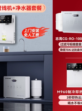 志高无水箱白色管线机家用壁挂式