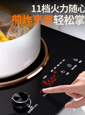 志高电陶炉双灶凹面嵌入式电陶炉