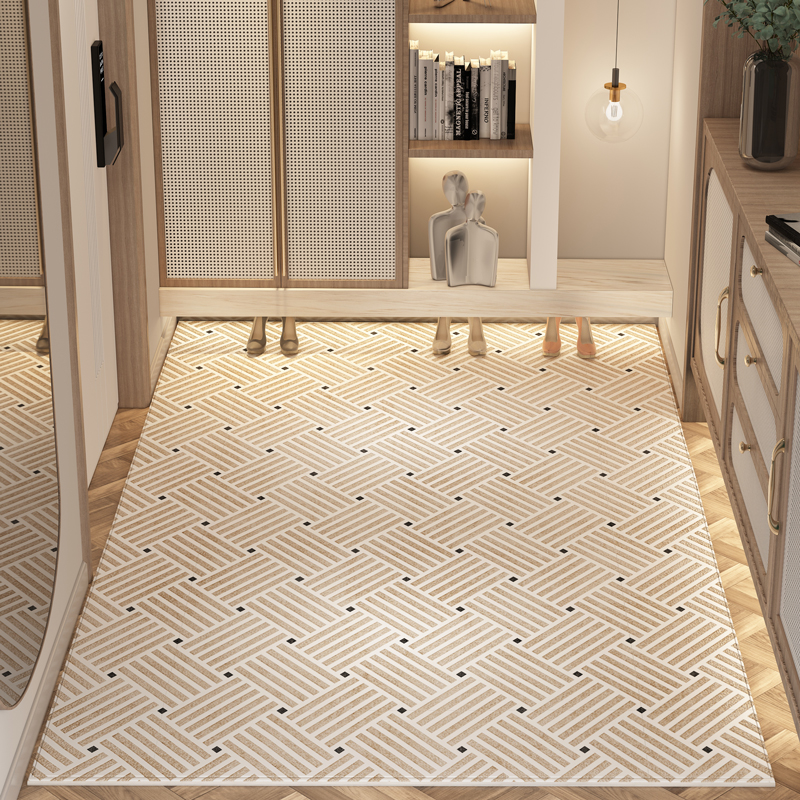 入户门地垫轻奢高级定制玄关地毯进门大门家用门口防滑脚垫可裁剪