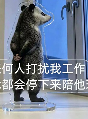 【爆款热销】负鼠表情包立牌