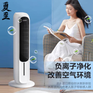格力空调扇家用冷暖两用无叶塔式制暖风机负离子大风力移动取暖器
