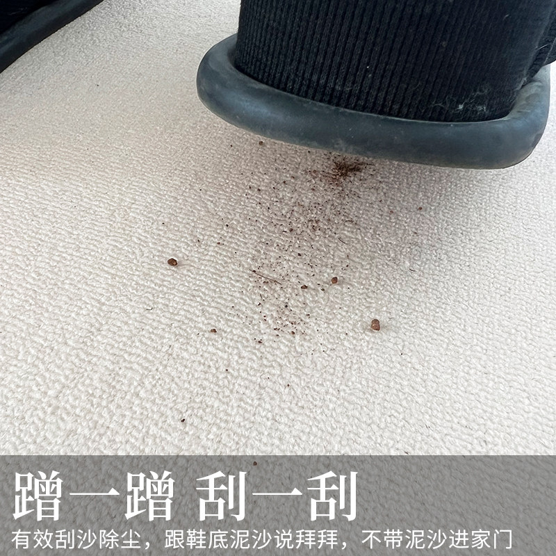 入户门地垫2025新款室内门口脚踏垫门内玄关入户式地毯进户门门垫,淘宝优惠券,粉丝福利购,淘宝优惠卷