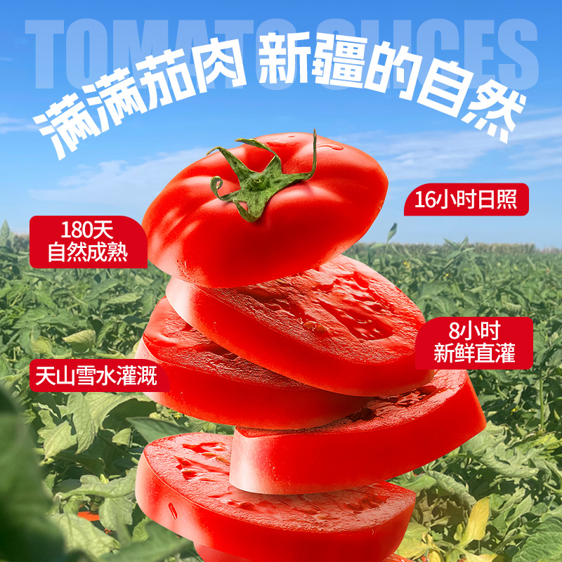 半球红切块番茄丁新疆西红柿块罐头400g无添加剂0脂家用餐饮商用-图1