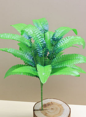 21片波斯叶  蕨类仿真植物 气氛布置装饰植物 塑料花草植物