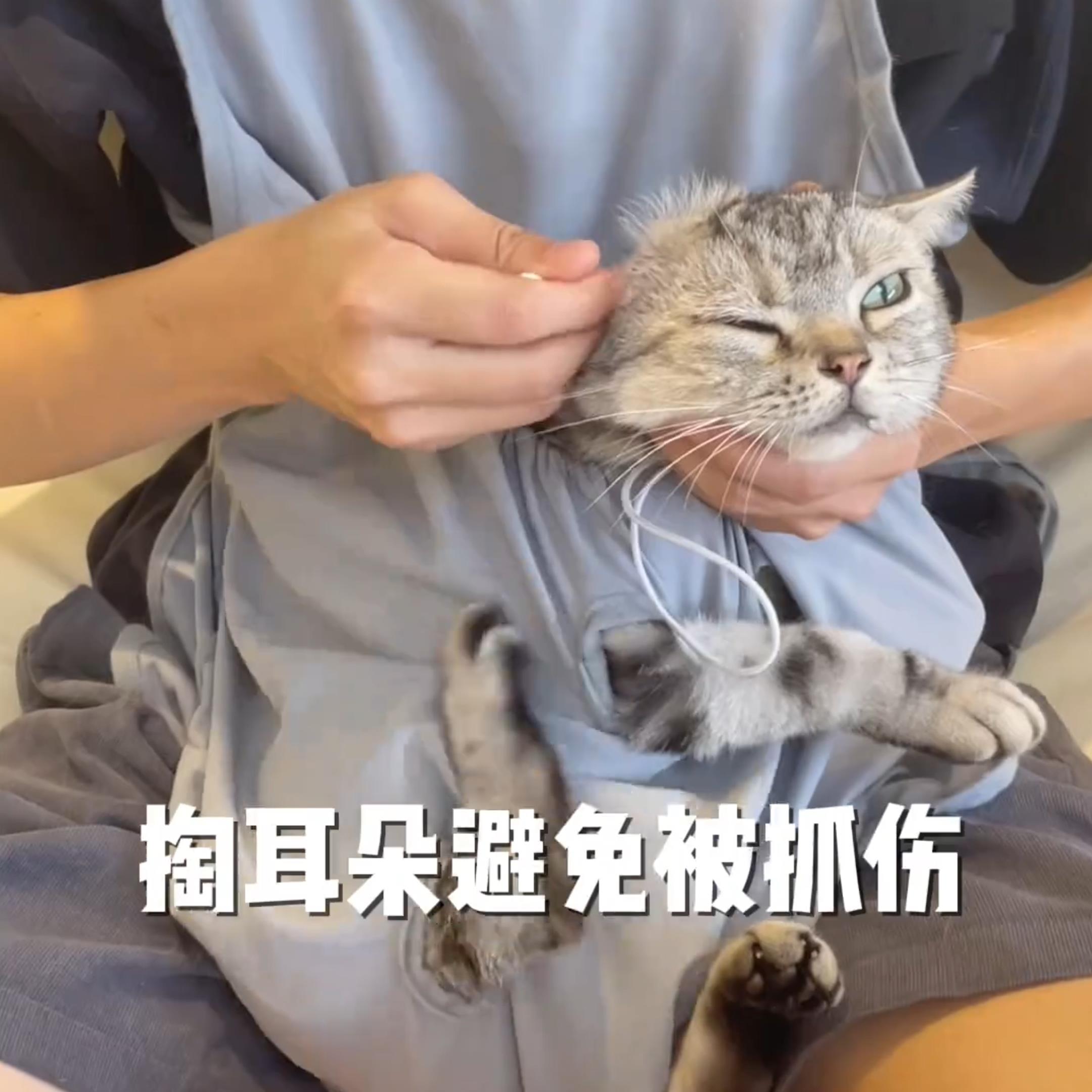 撸猫专用衣服抱猫服不粘毛兜罩装猫咪剪指甲神器防抓固定撸猫围裙 - 图2