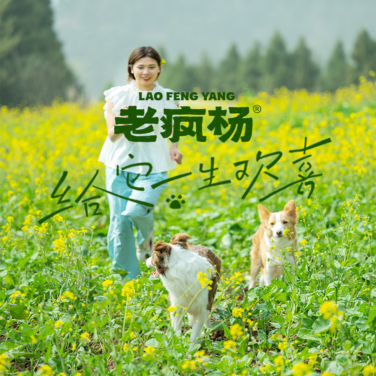 老疯杨小山坡冻干纯肉原切鸡胸肉粒鸭肉三文鱼蛋黄猫狗零食奖励,淘宝优惠券,粉丝福利购,淘宝优惠卷