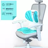 Коррекция коррекции Учебный офис по захотите уход за талией длинные сидячие декомпрессион