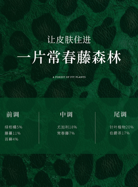绿意苔藓伯爵茶木质香