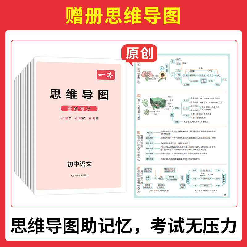 一本小四门初中知识大盘点必背知识点初中历史知识点汇总政治生物历史地理基础手册官方旗舰店七八九年级初一初二初三中考复习资料-图2