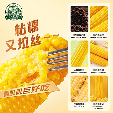 刘老杆黄糯玉米8根共1760g[11元优惠券]-寻折猪