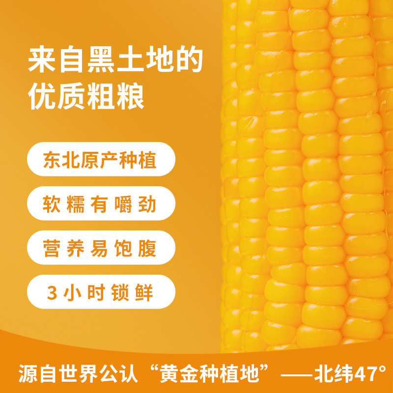 东北黄糯玉米新鲜软糯袋装黄粘苞玉米真空装早餐代餐饱腹玉米棒