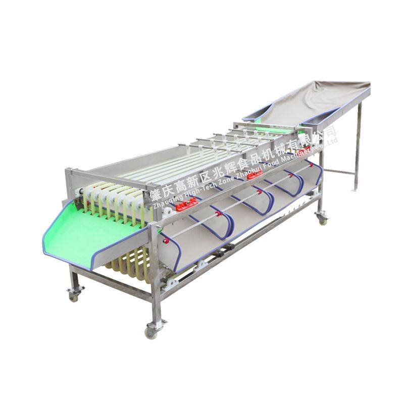 厂家供应轨道式圣女果分选机 水果分拣选果机 龙眼小红果分级机,淘宝优惠券,粉丝福利购,淘宝优惠卷