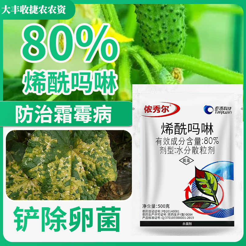 80%烯酰吗啉黄瓜西红柿葡萄蔬菜霜霉病黑胫病早晚疫病农药杀菌剂 - 图1