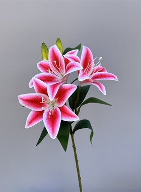 3D手感仿真3头百合假花仿真花摆件客厅家居婚庆装饰摄影道具假花