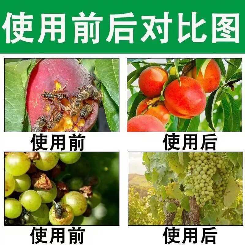 果园蜜蜂虫剂针蜂贴果蝇神器杀苍蝇小飞虫蝇诱针蜂引诱剂药 - 图0