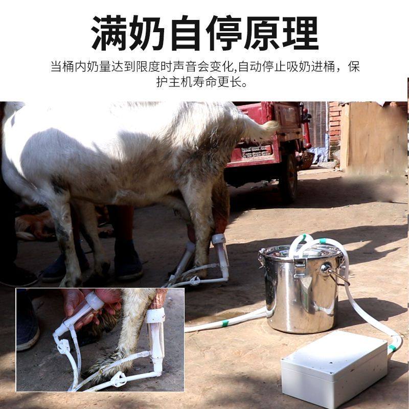 挤奶器羊用挤奶机电动脉冲吸奶器不锈钢10L大容量奶桶牛挤奶神器,淘宝优惠券,粉丝福利购,淘宝优惠卷