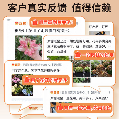 花肥谷朱顶红种球爆仔肥壳寡糖农用聚谷氨酸微生物菌剂有机水溶肥 - 图3
