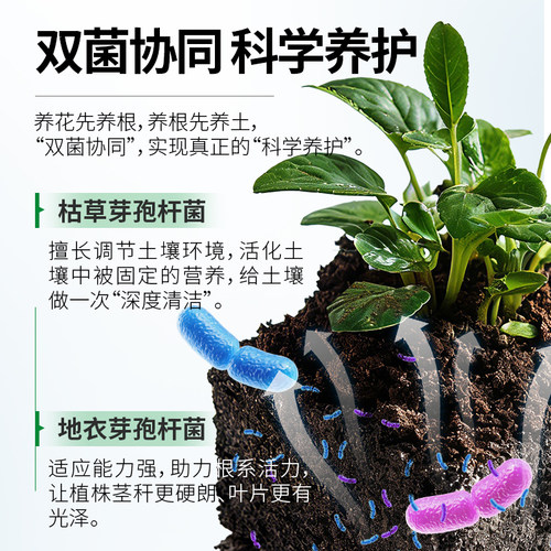 花肥谷微生物菌剂枯草芽孢杆菌根腐立克兰花卉多肉发财树黄叶专用 - 图3
